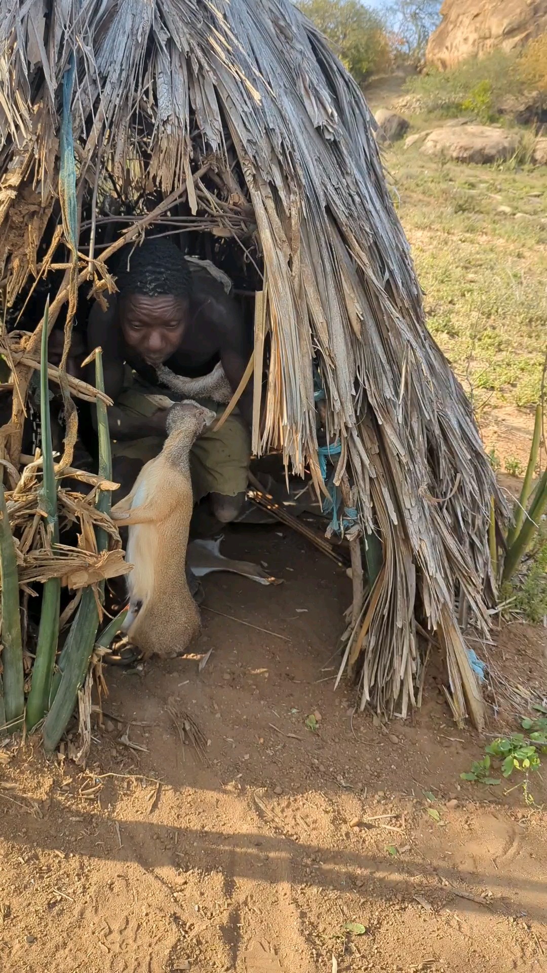 Most Incredible House Hadzabe Tribe Hunt's Catch - YouTube