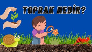 Toprak Nedir? Okul Öncesi Eğitim Çocuklar İçin #ToprağınÖnemi#Bitkiler