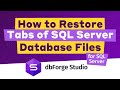 Backup and Restore Database Files in dbForge Studio SQL Server