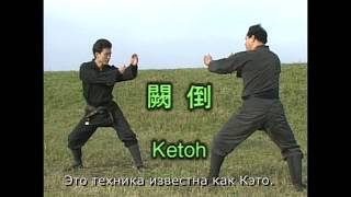 Gyokko ryu - Keto 闕倒