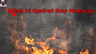 Allah Pak Ki Qudrat 02 by Maulana Tariq Jameel