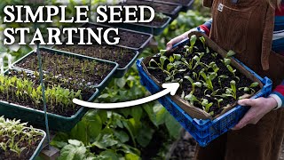 An Alternative Seed Starting Technique You Need to Know
