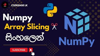 Python Numpy Tutorial 03 | Array Slicing ✂️ | Sinhala