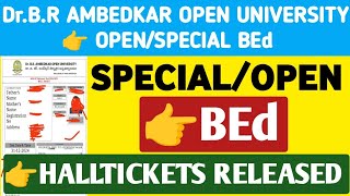 Special BEd Halltickets in DR BR Ambedkar Open University@StudentUpdates247