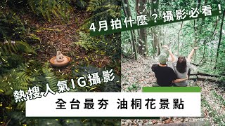 攝影必看 ! 全台最夯！4大油桐花景點｜大包小包不在家