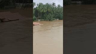 ഇങ്ങനെ പ്രകൃതി ദുരന്തം ഉണ്ടാവാൻ കാരണം ആര്..! #yt #flood #kerala #youtubeshorts #trend