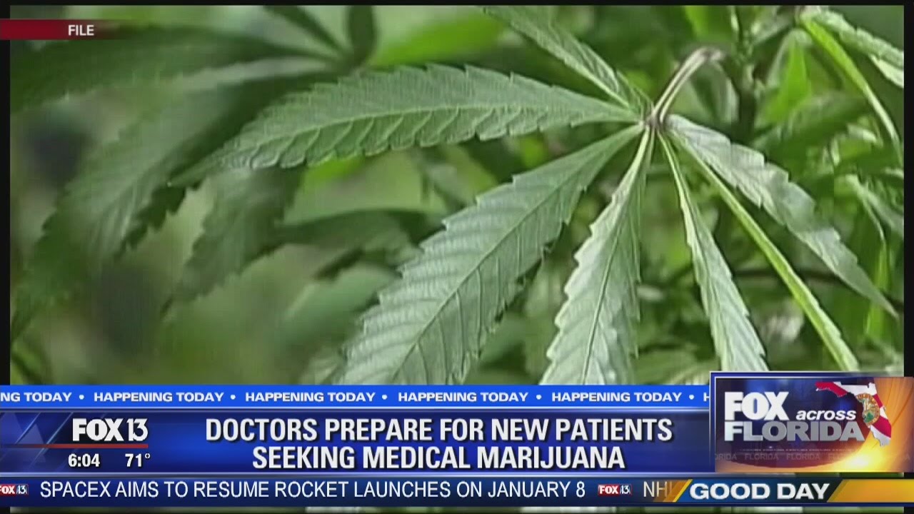 Medical Marijuana Law Takes Effect In Florida - YouTube