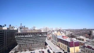 159 Dundas Street East - Pace Condos For Sale / Rent - Elizabeth Goulart, BROKER