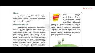 TNPSC,TNTET ஆறாம் வகுப்பு அறிவியல்-பாடம்-4-தாவரங்கள் வாழும் உலகம்(New book)