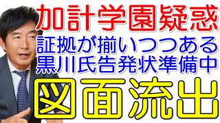 【石田純一】加計学園疑惑 図面で暴露された建築費水増し請求疑惑※証拠が揃いつつあり黒川敦彦氏は告発状提出準備中！黒に近いグレー！内部告発の設計図！バイオハザード100％起きると専門家が指摘！