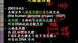 10502應用生物ch3 3 01人體基因體資料的應用二廉