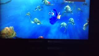 Finding nemo news about nemo