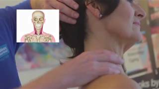 The BEST MYOFASCIAL RELEASE  techniques for the Sternocleidomastoid & Scalenes