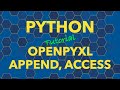 Python openpyxl Append, Populate, Access Data