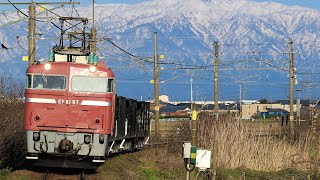 2022/4/5　工9826　酒田工臨(返空)　EF81 97[長岡]②+ホキ800形4B