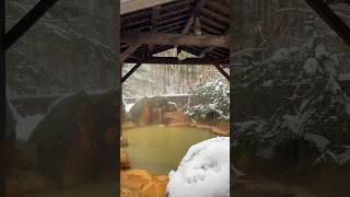 岐阜の日帰り♨️奥飛騨温泉郷・平湯の湯