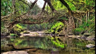 Ym iahap ka jingbatai kita ki stad ka sorkar ban thung diengjri