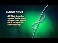 Blood Knot | How-to Knot Series