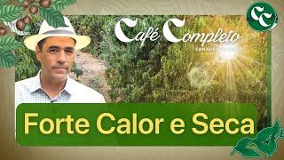 A ATUAL AMEAÇA DA CAFEICULTURA - Programa 36 com Gustavo Rennó