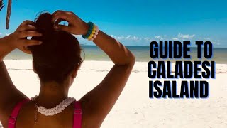 How To Get To Caladesi Island | Ultimate Travel Guide to Caladesi Island | Florida’s Hidden island