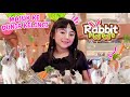 SAMANTHA MASUK KE DUNIA KELINCI RABBIT PLAYDATE PAKUWON MALL | KELINCINYA LUCU DAN GEMES BANGET