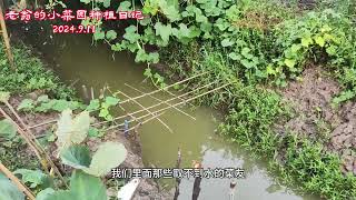 老翁的小菜园种植日记2024.9.11终于浇水不用愁了 #我的小菜园