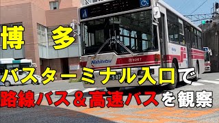 博多バスターミナル入口で路線バス＆高速バスを観察（西鉄バス、昭和、西肥、九州急行、JR九州、九州産交、ウィラー祐徳、鹿児島交通、中国JR、亀の井バス）