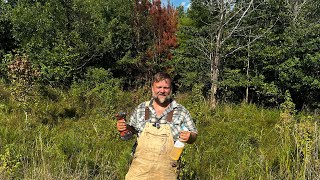 The Riverstead: Poor Man’s Hack & Squirt (Easiest Way to Kill Unwanted Trees)