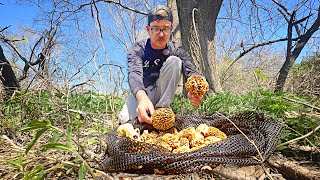 MOREL MUSHROOM Hunting For The FIRST TIME!!! (Forage, Clean, And Cook)