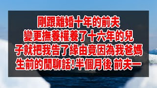 情感故事 李子柒 #2024- 剛跟離婚十年的前夫變更撫養權養了十六年的兒子就把我告了緣由竟因為我爸媽生前的閒聊話！半個月後 前夫一#深夜讀書 #幸福人生 #為人處世 #生活經驗 #情感故事