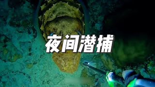 渔民夜间潜捕，不仅能打到大墨鱼还能打到大石斑，太刺激了#户外