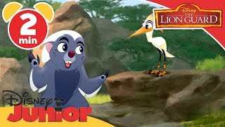 The Lion Guard | It’s UnBungalievable: Who's brainier? | Disney Junior UK
