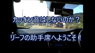 ４０Kリーフオーナーの言いたい放題  カキン音今までのまとめ最終は2021夏に判定