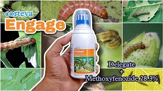 Corteva ENGAGE Insectide | For Lepidopteran pests | Dr A Venugopal |