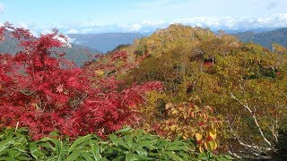 2017年10月8日　紅葉の白山平瀬道