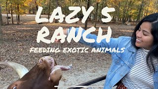 LAZY 5 RANCH | Feeding exotic animals | Safari Drive | horse drawn wagon ride tour