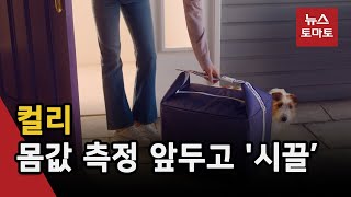 컬리 몸값, 1조원대 추락하나