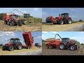 Mais hakselen bij melk en pluimveebedrijf De Kooyen met Claas Jaguar 860 en Case IH trekkers (2022)