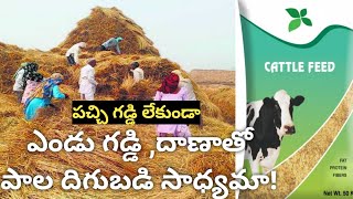 Is Milk Possible with Dry Grass and  Feed without Green Grass | ఎండు గడ్డి, దాణాతో పాలు సాధ్యమా..