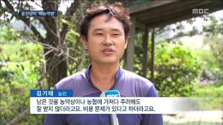 [대전MBC 뉴스데스크]농촌의 골칫러기, 폐농약병