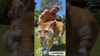 LION BATH 🐶 Animal Divertido Mascota 😂 حيوانات مضحكة وحيوانات أليفة 😻 有趣的动物和宠物 😸 🤣 Funny Animal Pet