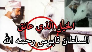 شاهد كيف عانق الخيل السلطان قابوس 🇴🇲🤍