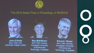 Nobel Prize For Medicine 2014 - Announcement And Explanation