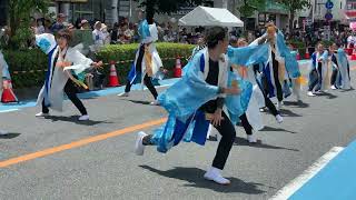 粋（2024浦和よさこい・東口会場 B会場）