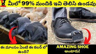 ⚡మీలో ఇవి 99% మందికి తెలిసి ఉండవు | Most Interesting and unknown facts| #shorts #telugut10facts