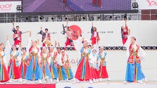 [4K] 桜舞ポーランド国際チーム（高知県よさこいアンバサダー）　高知よさこい祭り 2018 全国大会 (中央)