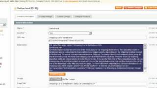 URL Rewrite Management - Magento Tutorial