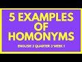 Homonyms 5 examples