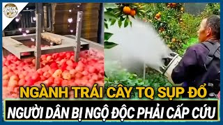 Nho phun thuốc trừ sâu 24 lần, cherry và dâu tây bị tiêm chất kích thích tăng trưởng