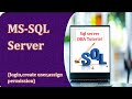SQL server DBA Tutorial||How to Create Login ,User and Assign Permission to user in SQL SERVER